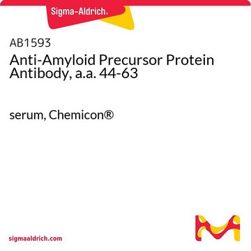 淀粉样前体蛋白抗体，a.a. 44-63 serum, Chemicon&#174;