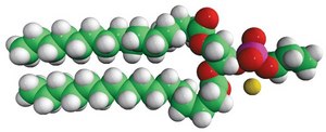 16:0 Phosphatidylpropanol 1,2-dipalmitoyl-sn-glycero-3-phosphopropanol (sodium salt), chloroform