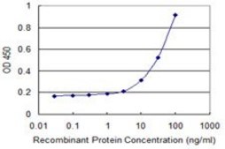 Monoclonal Anti-SBLF antibody produced in mouse clone 1F3, purified immunoglobulin, buffered aqueous solution