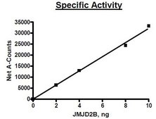 JMJD2b active human recombinant, expressed in baculovirus infected Sf9 cells, ≥70% (SDS-PAGE)