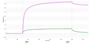 Anti-UGT2B7 Antibody, clone 4C11 ZooMAb® Rabbit Monoclonal recombinant, expressed in HEK 293 cells