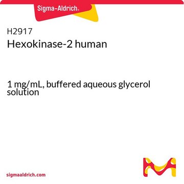 Hexokinase-2 human 1&#160;mg/mL, buffered aqueous glycerol solution