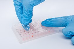 ClearASeal Perf™ heat sealable film LabSheet™, W × L 78 mm × 125 mm, pack of 100 sheets