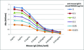 Anti-Mouse IgG Fc-Biotin antibody, Goat monoclonal recombinant, expressed in HEK 293 cells, clone RMG06, purified immunoglobulin