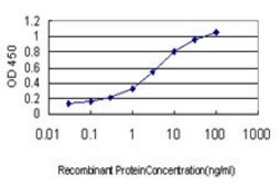 Monoclonal Anti-ERH antibody produced in mouse clone 1H4, purified immunoglobulin, buffered aqueous solution