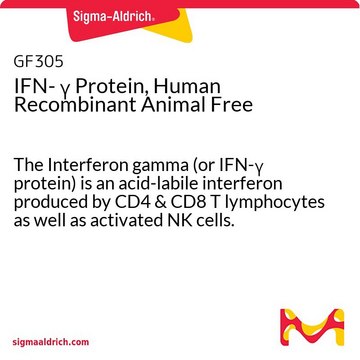 IFN-&#947;无重组人动物蛋白 The Interferon gamma (or IFN-&#947; protein) is an acid-labile interferon produced by CD4 &amp; CD8 T lymphocytes as well as activated NK cells. Manufactured using all non-animal reagents.