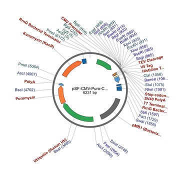 PSF-CMV-PURO-COOH-TEV-V5-6HIS - C-TERMINAL 6 HIS AND V5 DUAL TAG MAMMALIAN PLASMID plasmid vector for molecular cloning