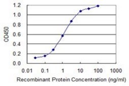 Monoclonal Anti-SEPT9 antibody produced in mouse clone 2C6, purified immunoglobulin, buffered aqueous solution