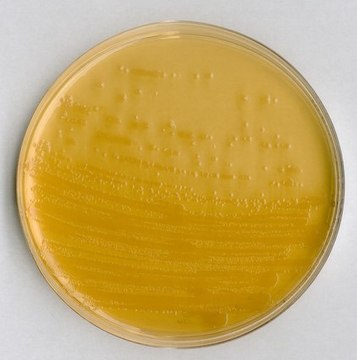 ECD agar for microbiology Fluorocult&#174;