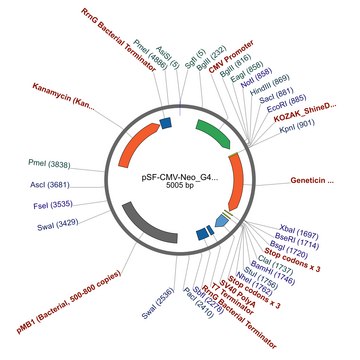 PSF-CMV-NEO/G418 - G418 SELECTION CMV EXPRESSION PLASMID plasmid vector for molecular cloning