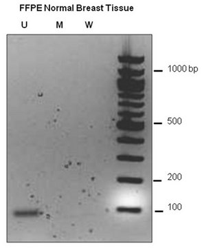 CpGenome直接制备亚硫酸氢盐改性试剂盒（50次反应） The CpGenome Direct Prep Bisulfite Modification Kit allows bisulfite conversion directly from a variety of starting materials, including cultured cells, blood, fresh tissue &amp; fixed tissue samples.