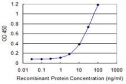 Monoclonal Anti-UBE2N antibody produced in mouse clone 4C11-G11, purified immunoglobulin, buffered aqueous solution