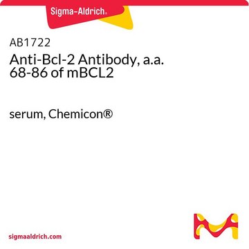 Anti-Bcl-2 Antibody, a.a. 68-86 of mBCL2 serum, Chemicon&#174;