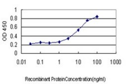 Monoclonal Anti-SNX12 antibody produced in mouse clone 2C10, purified immunoglobulin, buffered aqueous solution