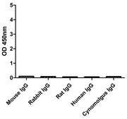 Goat Anti-Mouse IgM(µ chain) Alpaca Heavy chain only Antibody recombinant Alpaca(VHH) Nano antibody