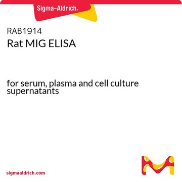 大鼠MIG ELISA for serum, plasma and cell culture supernatants