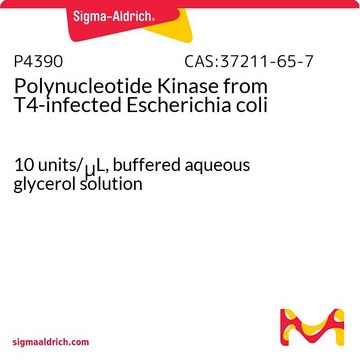 Polynucleotide Kinase from T4-infected Escherichia coli 10&#160;units/&#956;L, buffered aqueous glycerol solution