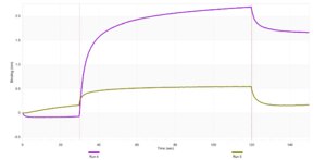 Anti-CX3CR1 Antibody, clone 1N5 ZooMAb® Rabbit Monoclonal recombinant, expressed in HEK 293 cells