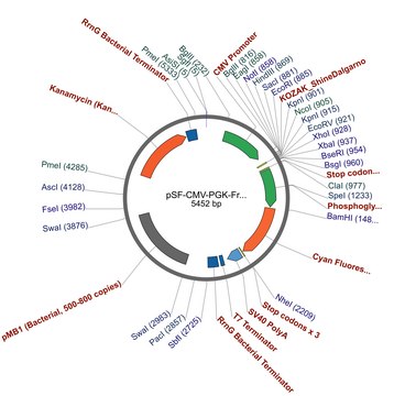 PSF-CMV-PGK-FRCFP - PGK PROMOTER CFP MAMMALIAN VECTOR plasmid vector for molecular cloning