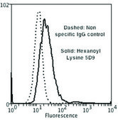 Monoclonal Anti-Hexanoyl-Lysine adduct antibody produced in mouse clone 5D9
