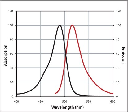 Monoclonal Anti-Biotin IgG, CF&#8482; 488A antibody produced in mouse ~2&#160;mg/mL, clone 3D6.6, purified immunoglobulin