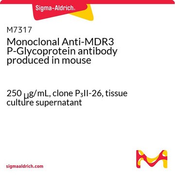 单克隆抗-MDR3 P-糖蛋白 小鼠抗 250&#160;&#956;g/mL, clone P3II-26, tissue culture supernatant