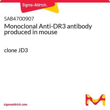 Monoclonal Anti-DR3 antibody produced in mouse clone JD3