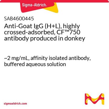 Anti-Goat IgG (H+L), highly crossed-adsorbed, CF™750 antibody produced in donkey ~2 mg/mL, affinity isolated antibody, buffered aqueous solution