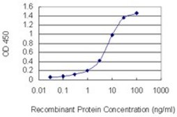 Monoclonal Anti-SUMO2 antibody produced in mouse clone 2C7-1A11, purified immunoglobulin, buffered aqueous solution