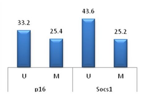 CpGenome Rat Methylated Genomic DNA Standard Useful as a control or standard for variety of epigenomic assays such as methylated or unmethylated DNA enrichment, bisulfite conversion or melt curve analysis to determine the status of global or locus- specific DNA methylation.