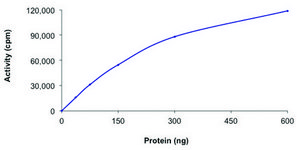STK39 (STLK3), active, His tagged human PRECISIO®, recombinant, expressed in baculovirus infected Sf9 cells, ≥70% (SDS-PAGE), buffered aqueous glycerol solution