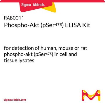 Phospho-Akt (pSer473) ELISA Kit for detection of human, mouse or rat phospho-akt (pSer473) in cell and tissue lysates