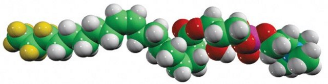 18:0-d35 Lyso PC Avanti Polar Lipids