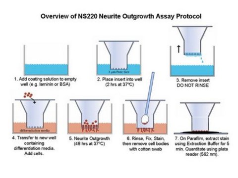 Neurite Outgrowth Assay Kit (3 &#181;m) The NS220 Neurite Outgrowth Assay Kit (3 &#181;m) is based on the use of Millicell cell culture inserts (chambers) containing a permeable membrane with 3-&#956;m pores at the base.