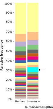 Microbial DNA standard from Deinococcus radiodurans Suitable for PCR, sequencing and NGS, 10&#160;ng/&#956;L