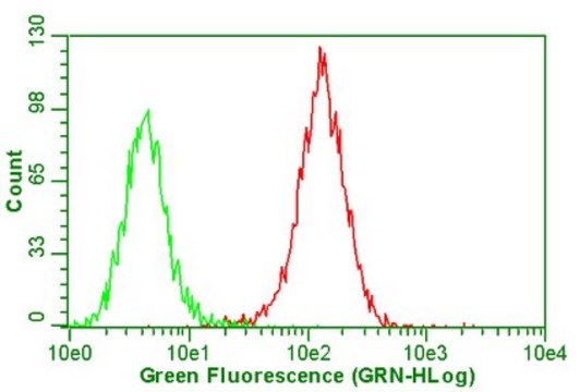 Anti-Integrin &#945;V&#946;5 Antibody, clone P1F6 clone P1F6, Chemicon&#174;, from mouse