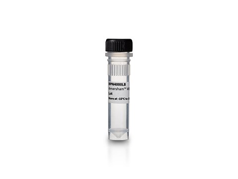 Amersham&#8482; QuickStain Protein Labeling Kit