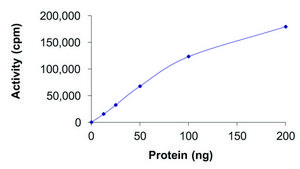 EGFR (D746-750 C797S), Active recombinant
