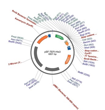 PSF-TEFI-HIS3 - HISTIDINE YEAST SELECTION PLASMID plasmid vector for molecular cloning