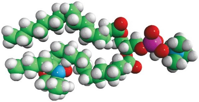 16:0-14 Doxyl PC Avanti Research&#8482; - A Croda Brand 810605C