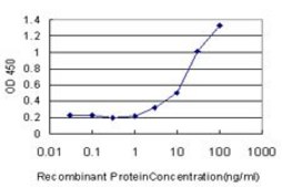 Monoclonal Anti-PTK7 antibody produced in mouse clone 4D4, purified immunoglobulin, buffered aqueous solution