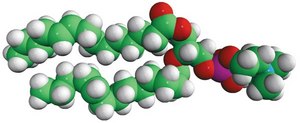 14:1 (Δ9-Trans) PC 1,2-dimyristelaidoyl-sn-glycero-3-phosphocholine, powder