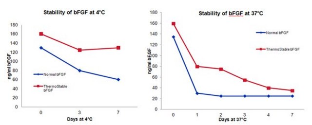 HumanKine&#174; Thermostable bFGF,Human Recombinant