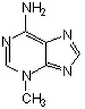 自噬抑制剂，3-MA Autophagy Inhibitor, 3-MA, CAS 5142-23-4, is a cell-permeable autophagic sequestration blocker. Acts as an inhibitor of III PI3-Kinase.