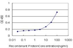 ANTI-ARHGEF1 antibody produced in mouse clone 2D2, purified immunoglobulin, buffered aqueous solution