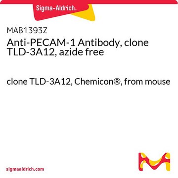 抗PECAM-1抗体，克隆TLD-3A12，无叠氮化物 clone TLD-3A12, Chemicon&#174;, from mouse