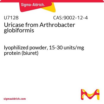 尿酸酶 来源于球形节杆菌 lyophilized powder, 15-30&#160;units/mg protein (biuret)