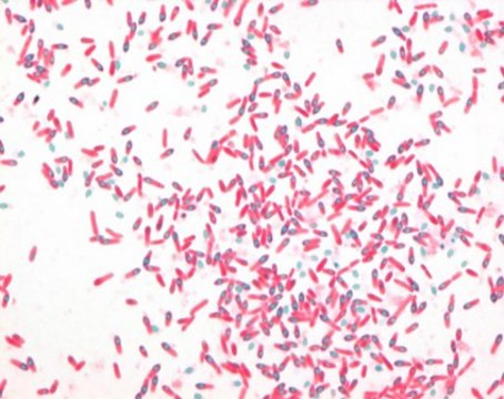 AFB-Color malachite green (oxalate) solution for the microscopic inverstigation of acid-fast bacteria (cold staining)