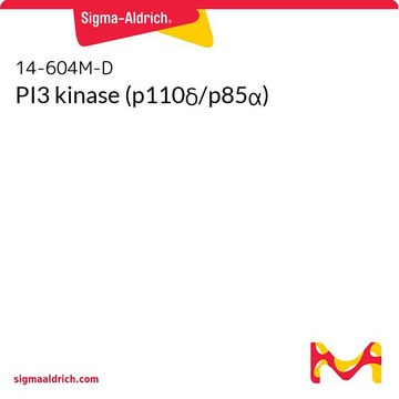 PI3 kinase (p110&#948;/p85&#945;)