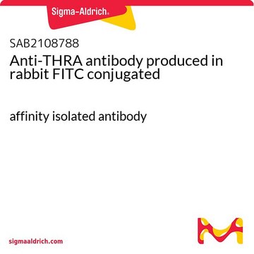 Anti-THRA antibody produced in rabbit FITC conjugated affinity isolated antibody